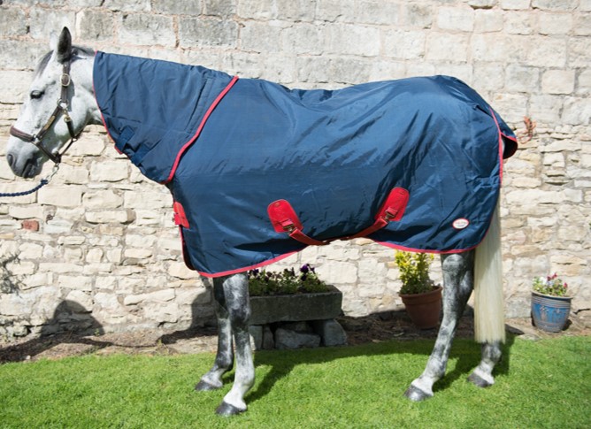 Level 2 Horse Clothing (New) | British Horseracing